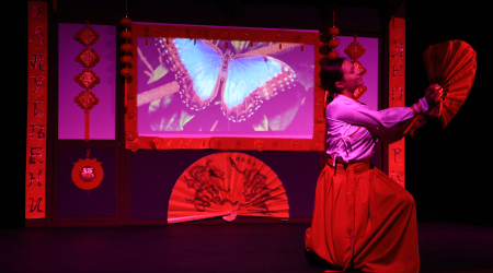THE BUTTERFLIES IN LOVE