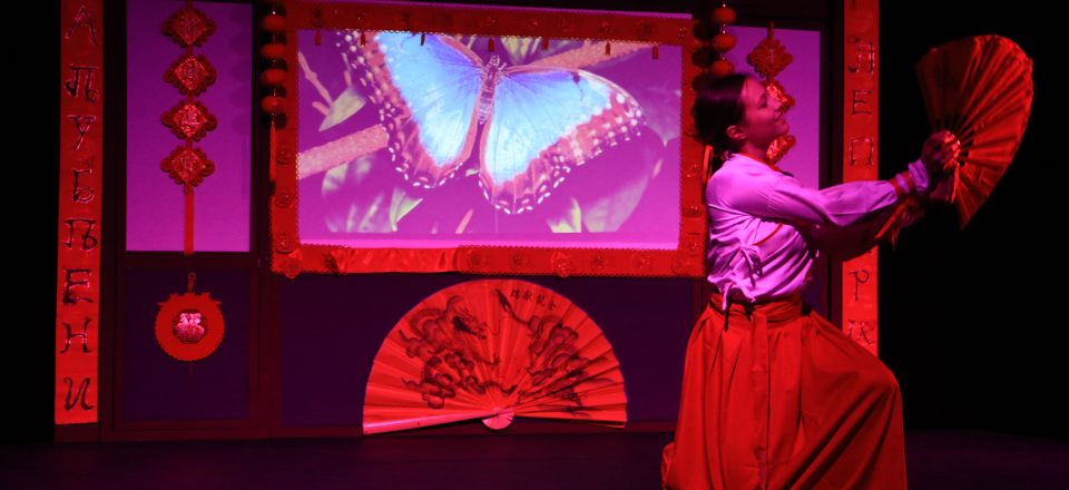 THE BUTTERFLIES IN LOVE